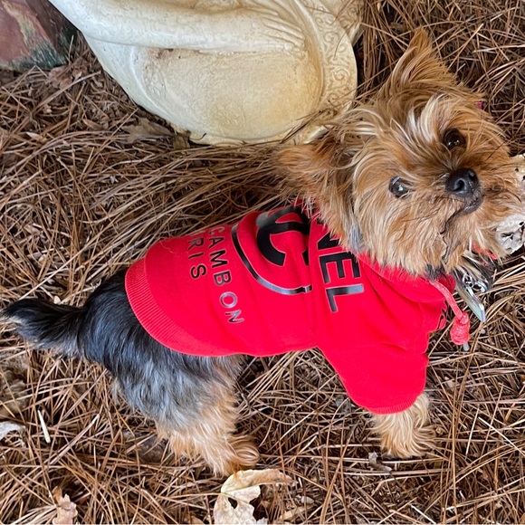 Thank You!🥰💃🏻💜💙💚💛🧡❤💖 - Picture 10 of 12